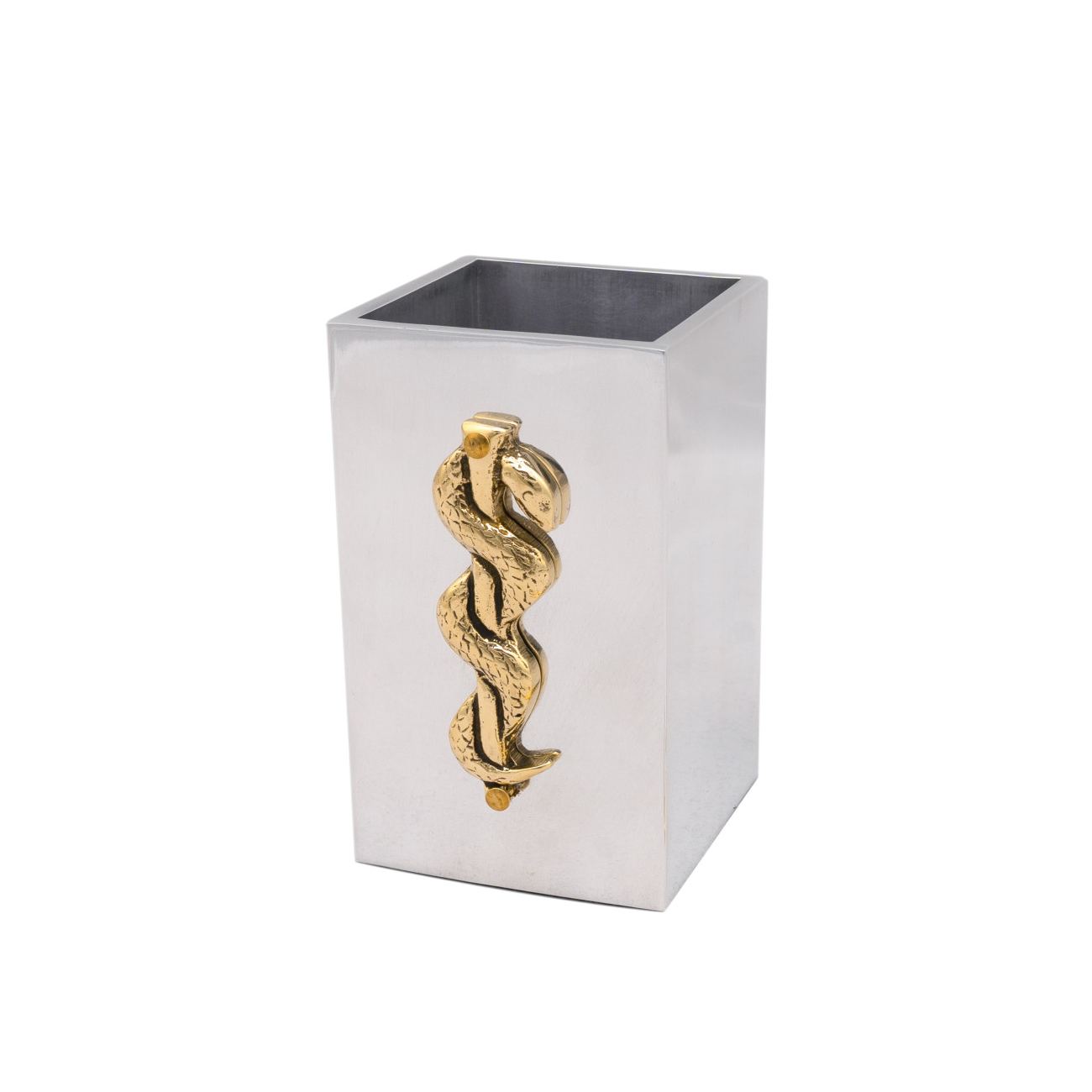 Rod of Asclepius Design, Symbol of Medicine Desk Accessories Set of 2
